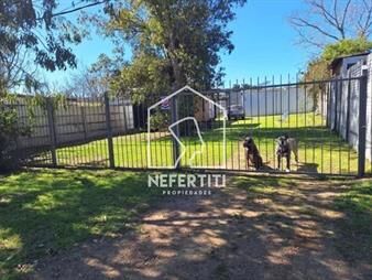 https://web5.gallito.com.uy/terreno-de-546-m2-con-contenedor-y-galpon-inmuebles-26122129
