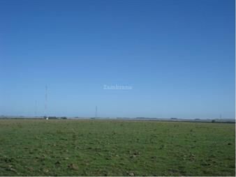 https://www.gallito.com.uy/campo-ganadero-i-salto-i-ha-301-ic-62-inmuebles-26551433