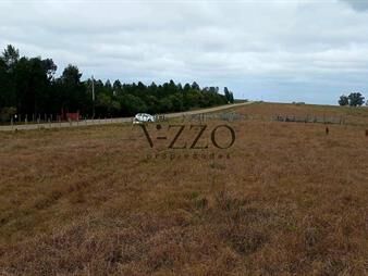 https://web5.gallito.com.uy/campo-de-calidad-a-minutos-de-jose-ignacio-y-garzon-inmuebles-25649495