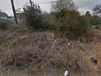 https://web5.gallito.com.uy/venta-terreno-en-parque-del-plata-inmuebles-26117730
