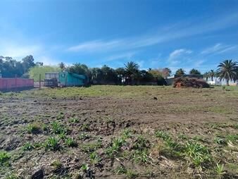 https://web5.gallito.com.uy/terreno-en-venta-en-valdense-inmuebles-26027045