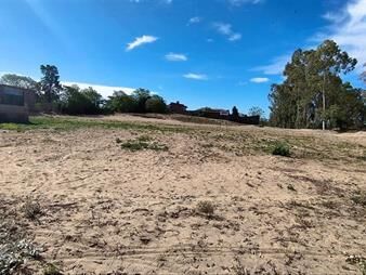 https://web5.gallito.com.uy/terrenos-en-venta-en-juan-lacaze-inmuebles-26027084