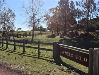 https://www.gallito.com.uy/lote-en-carmelo-golf-inmuebles-26632590