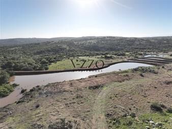 https://web5.gallito.com.uy/venta-de-chacra-en-villa-serrana-lavalleja-uruguay-inmuebles-26636170