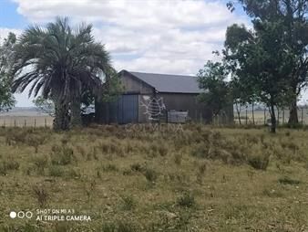 https://www.gallito.com.uy/campo-28-has-en-corte-la-leña-con-casa-y-costa-de-arroyo-inmuebles-26665232