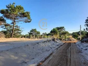 https://web5.gallito.com.uy/atencion-inversores-venta-de-3-solares-a-metros-de-la-pla-inmuebles-26386161