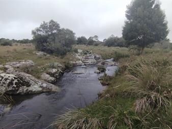 https://www.gallito.com.uy/campo-en-venta-maldonado-en-la-zona-del-cerro-catedral-inmuebles-25780807