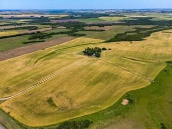 https://web5.gallito.com.uy/establecimiento-agricola-ganadero-i-colonia-i-ha-224-ic-inmuebles-26677117
