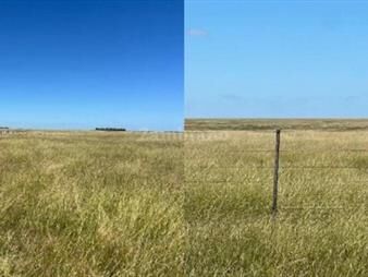 https://web5.gallito.com.uy/establecimiento-agricola-ganadero-arrocero-i-artigas-i-ha-inmuebles-26677254