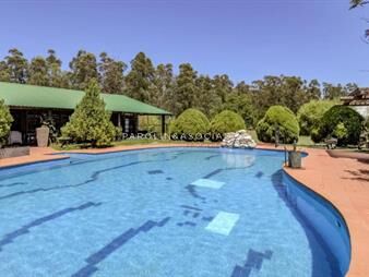 https://www.gallito.com.uy/espectacular-chacra-de-6-dormitorios-en-camino-de-los-ceibo-inmuebles-26484113