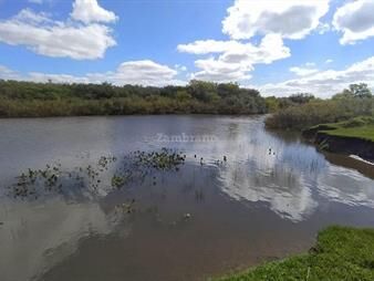 https://web5.gallito.com.uy/campo-agricola-ganadero-i-lavalleja-i-1200-ha-i-ic-110-inmuebles-26039635