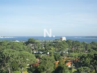 https://web5.gallito.com.uy/espectacular-apartamento-en-venta-a-estrenar-inmuebles-25034353