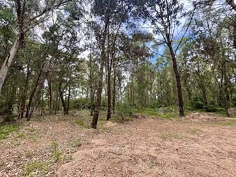 https://www.gallito.com.uy/venta-terreno-en-burnett-maldonado-4500m2-inmuebles-26269441