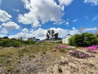 https://web5.gallito.com.uy/lote-en-venta-en-pinares-punta-del-este-inmuebles-25041502
