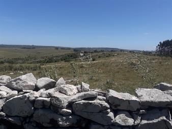 https://web5.gallito.com.uy/campo-en-carape-departamento-de-maldonado-inmuebles-22909779