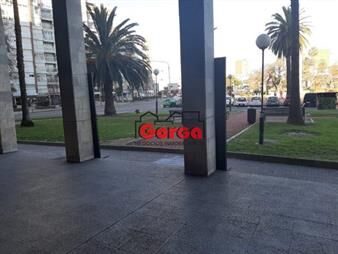 https://web5.gallito.com.uy/local-frente-a-la-plaza-san-martin-inmuebles-26731043