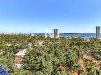 https://web5.gallito.com.uy/apartamento-de-2-dormitorios-en-venta-con-vista-al-mar-inmuebles-26738317
