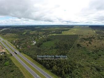 https://www.gallito.com.uy/campo-12hect-92-de-prod-junto-a-la-interbalnearia-inmuebles-14212994
