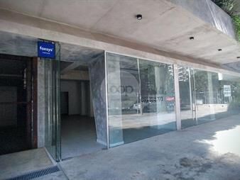 https://web5.gallito.com.uy/alquiler-local-punta-carretas-a-estrenar-inmuebles-26765671