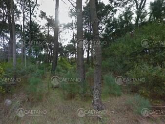 https://web5.gallito.com.uy/venta-terreno-en-monoya-gran-oportunidad-inmuebles-25884866