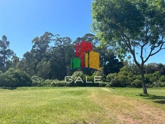 https://www.gallito.com.uy/terreno-barrio-privado-verde-mora-inmuebles-26766523