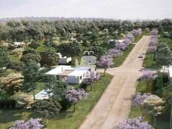 https://web5.gallito.com.uy/terreno-en-la-jacinta-punta-ballena-ref-pbi12712-inmuebles-24226746