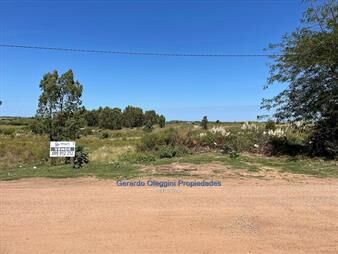 https://web5.gallito.com.uy/venta-terreno-pegado-al-aeropuerto-y-a-mts-ruta-102-inmuebles-25611275