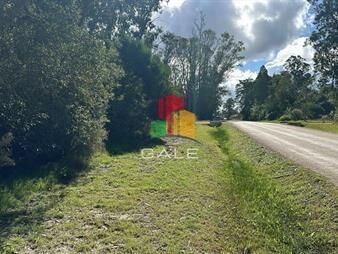 https://web5.gallito.com.uy/terreno-en-venta-ocean-park-maldonado-inmuebles-26458794