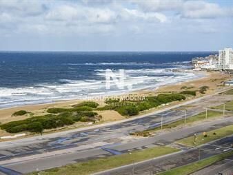 https://web5.gallito.com.uy/departamento-en-torre-nueva-a-pasos-del-mar-playa-brava-p-inmuebles-25035641