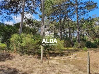 https://www.gallito.com.uy/terreno-en-punta-colorada-ref-te201714-inmuebles-20297574