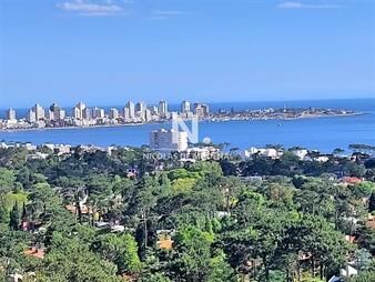 https://web5.gallito.com.uy/amplio-apartamento-en-piso-alto-con-excelente-vista-al-mar-inmuebles-25037852