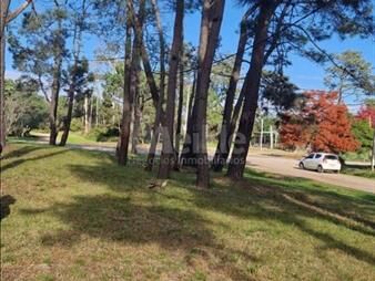 https://www.gallito.com.uy/zona-residencial-en-el-pinar-inmuebles-26845256