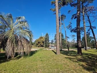 https://www.gallito.com.uy/divino-terreno-en-zona-residencial-inmuebles-26845257