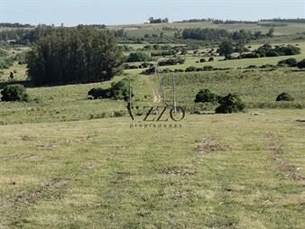 https://www.gallito.com.uy/hermosa-chacra-a-15-kilometros-del-mar-pan-de-azucar-en-inmuebles-26848290