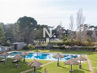 https://web5.gallito.com.uy/apartamento-en-alquiler-de-1-dormitorio-en-torre-antares-inmuebles-25043128