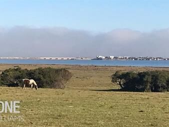 https://www.gallito.com.uy/venta-chacra-de-5-hectareascon-costa-laguna-jose-ignacio-inmuebles-21602401