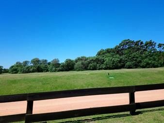https://www.gallito.com.uy/oportunidad-lotes-en-las-garzas-inmuebles-21602568