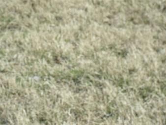 https://web5.gallito.com.uy/establecimiento-agricola-i-canelones-i-ha-1000-ic-119-inmuebles-26864194