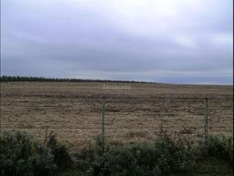 https://www.gallito.com.uy/campo-agricola-i-rio-negro-i-ha-2050-ic-155-inmuebles-26870086