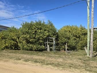 https://web5.gallito.com.uy/terreno-de-451-m2-en-venta-en-la-juanita-inmuebles-26457820
