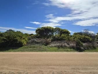 https://web5.gallito.com.uy/terreno-de-450-m2-en-venta-en-la-juanita-sobre-calle-ameri-inmuebles-26457821