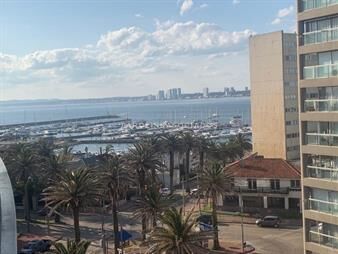 https://web5.gallito.com.uy/apartamento-en-peninsula-1-dormitorio-con-garage-inmuebles-26890462