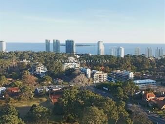 https://web5.gallito.com.uy/apartamento-en-venta-de-2-dormitorios-en-summer-tower-punt-inmuebles-22265301