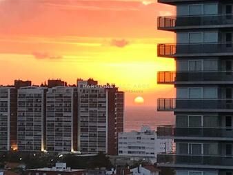 https://web5.gallito.com.uy/apartamento-de-2-dormitorios-en-venta-en-the-forest-tower-inmuebles-20731467