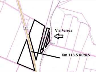 https://web5.gallito.com.uy/florida-campo-30-ha-sobre-ruta-5-potencial-logistico-inmuebles-25082652