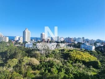 https://web5.gallito.com.uy/departamebnto-de-1-y-medio-dormitorios-en-venta-en-ocean-dr-inmuebles-24487268
