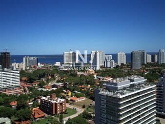 https://web5.gallito.com.uy/luminoso-departamento-en-icon-brava-tower-inmuebles-25033344