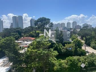 https://web5.gallito.com.uy/apartamento-en-alquiler-de-1-dormitorio-en-edificio-luna-de-inmuebles-26442650