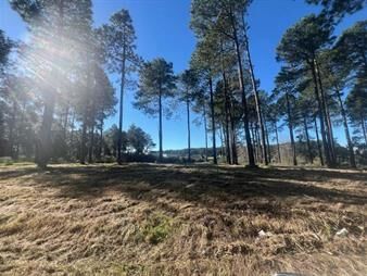 https://web5.gallito.com.uy/terreno-en-chacras-del-pinar-2000-m2-inmuebles-25975637