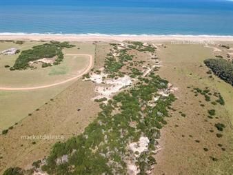 https://web5.gallito.com.uy/chacra-maritima-sobre-el-mar-inmuebles-25368016